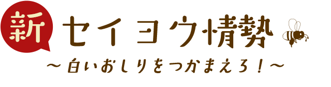 新セイヨウ情勢