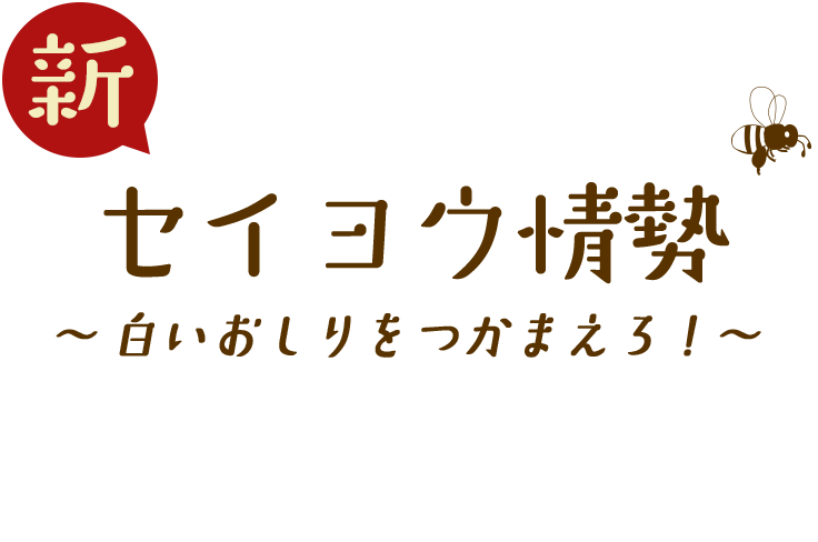 新セイヨウ情勢
